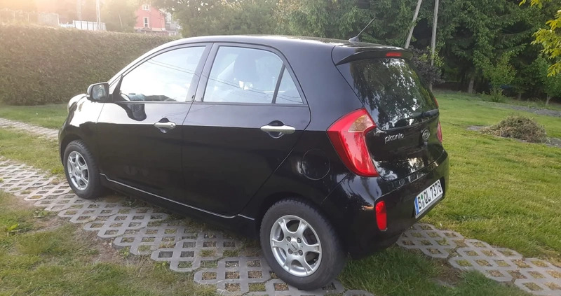Kia Picanto cena 18800 przebieg: 125400, rok produkcji 2011 z Pińczów małe 172
